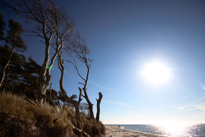 Low angle view of man standing on beach against clear sky