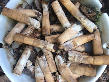 Close up of firewood