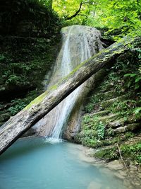 Scenic view of waterfall in forest