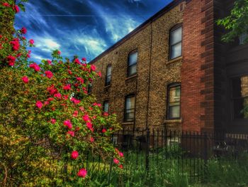 Low angle view of plants against building