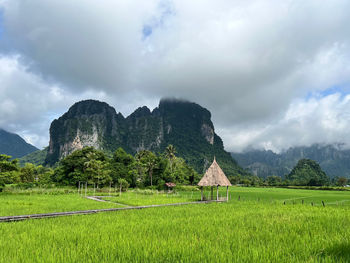 landscape
