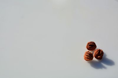 Close-up of crab over white background