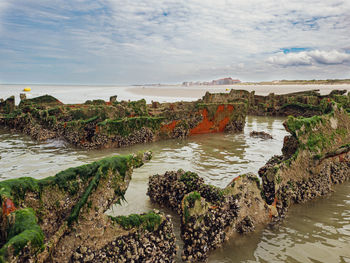 View across a seashell and algae covered shipwreck from world war 2 towards a beach