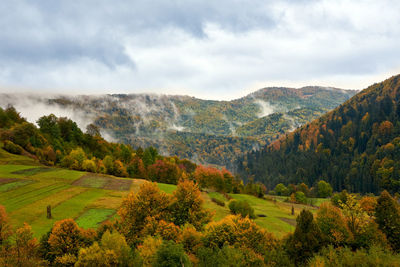 High angle view of trees and mountains in autumn