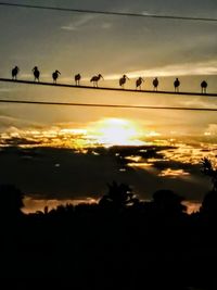 Silhouette birds in sky during sunset
