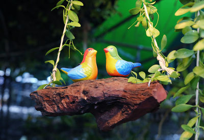 View of birds perching on branch