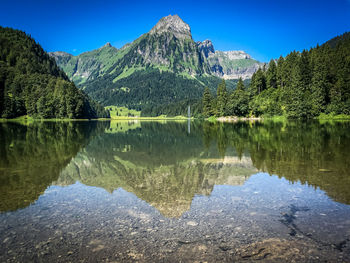Reflection of trees in lake against clear sky