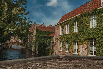 Bridge and brick buildings with creeper aside canal in bruges. a town full of canals in belgium.