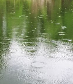 Reflection of trees in water