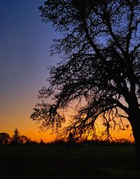 Silhouette trees on field against sky during sunset