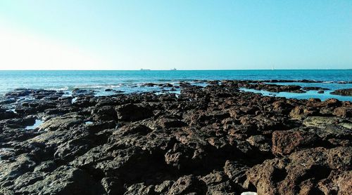 Scenic view of sea against clear sky