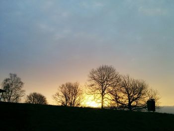 Silhouette of trees at sunset