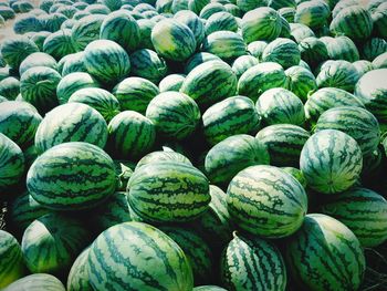 Full frame shot of fruits for sale in market