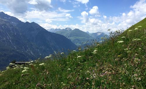 Scenic view of landscape against sky
