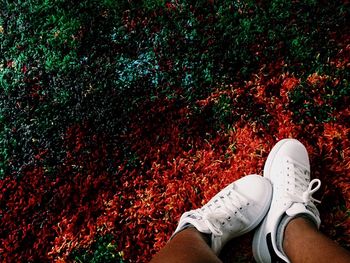 Low section of man standing on autumn leaves