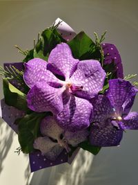 Close-up of purple flowers