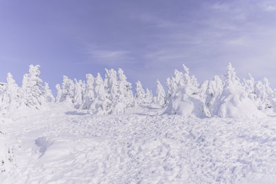 Snow covered field against sky