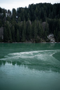 Frosty turquoise lake in front of a forest with trees