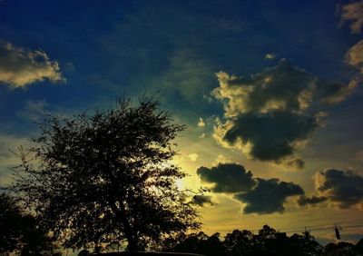 Low angle view of silhouette trees against sky at sunset