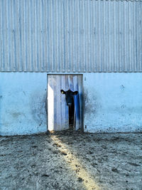 Man standing against old wall