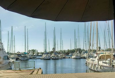 Sailboats moored in harbor