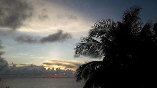Silhouette palm trees by sea against sky at sunset