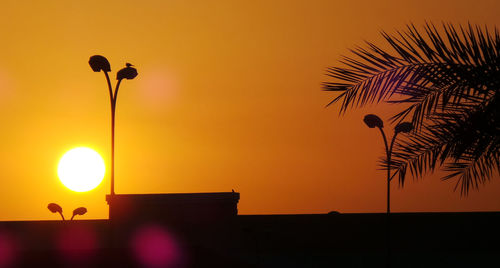 Low angle view of yellow lights against sky during sunset