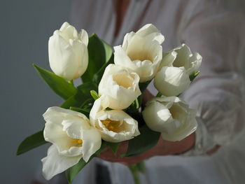 Close-up of white roses