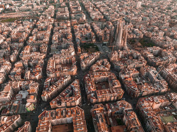 Full frame shot of tree