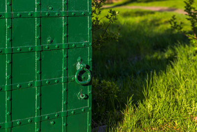 Opened riveted green door with selective focus and summer grass