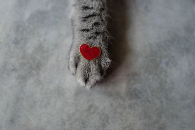 High angle view of christmas decoration