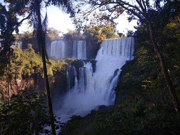 Scenic view of waterfall in forest
