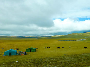 Scenic view of field against sky