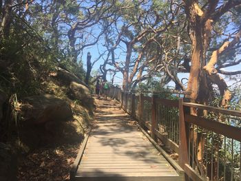 Walkway amidst trees against sky