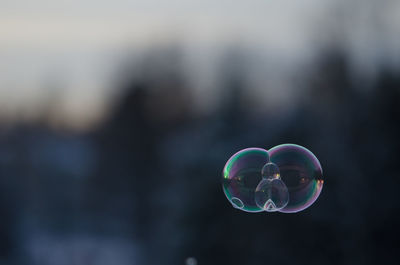 Close-up of bubbles in mid-air