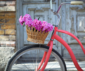 Close-up of pink flowering plant in basket