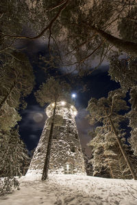 Low angle view of snow covered trees at night
