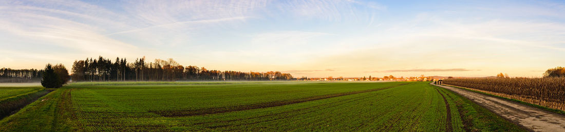 Scenic view of agricultural field against sky during sunset