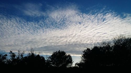 Low angle view of silhouette trees against sky at sunset