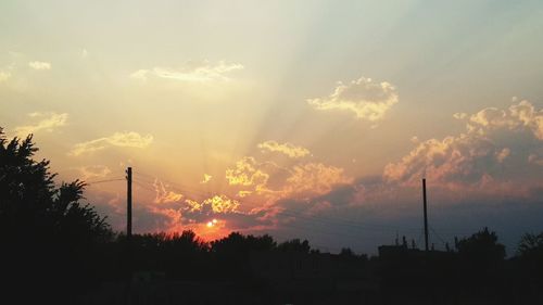 Low angle view of silhouette trees against sky during sunset