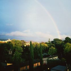 Panoramic view of trees against sky