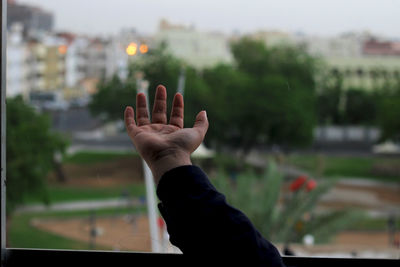 Close-up of hand against blurred background