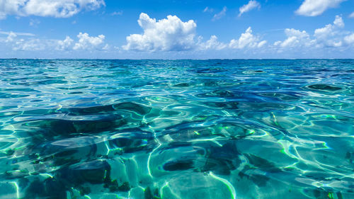 water