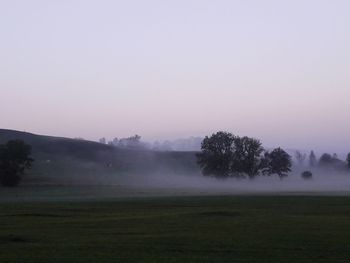 Trees on field against sky during foggy weather