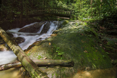 Scenic view of waterfall in forest