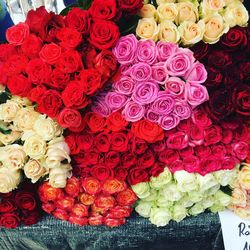 Full frame of colorful flowers in store