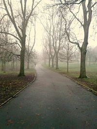 Empty road along trees