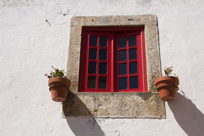 Low angle view of potted plant on window of building