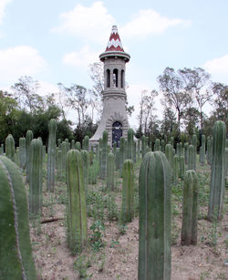 View of cemetery against sky