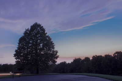 Road amidst trees against sky